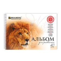 Альбом для рисования, А4, 40 листов, гребень, обложка картон, BRAUBERG, 205&times;290 мм, &laquo;Благородные кошки&raquo; (2 вида), 102831