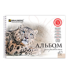 Альбом для рисования, А4, 40 листов, гребень, обложка картон, BRAUBERG, 205&times;290 мм, &laquo;Благородные кошки&raquo; (2 вида), 102831