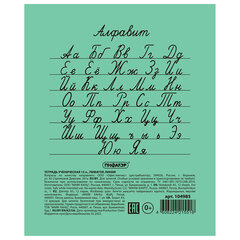 Тетрадь ЗЕЛЁНАЯ обложка 12 л., линия с полями, офсет №2 ЭКОНОМ, &laquo;ПИФАГОР&raquo;, 104985