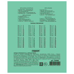Тетрадь ЗЕЛЁНАЯ обложка 18 л., клетка с полями, офсет №2 ЭКОНОМ, &laquo;ПИФАГОР&raquo;, 104986