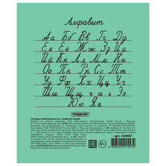 Тетрадь ЗЕЛЁНАЯ обложка 18 л., линия с полями, офсет №2 ЭКОНОМ, &laquo;ПИФАГОР&raquo;, 104987