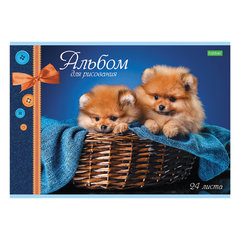 Альбом для рисования, А4, 24 листа, скоба, обложка офсет, HATBER ECO, 205&times;290 мм, Ассорти, 058404