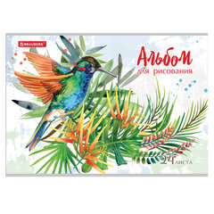 Альбом для рисования А4 24 л., скоба, обложка картон, BRAUBERG, 202&times;285 мм, &laquo;Райские птички&raquo; (2 вида), 105609