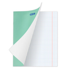 Тетрадь 18 л. BRAUBERG &laquo;ЭКО&raquo;, клетка, обложка картон 170 г/<wbr/>м<sup>2</sup>, ЗЕЛЕНАЯ ПАСТЕЛЬНАЯ, 105675