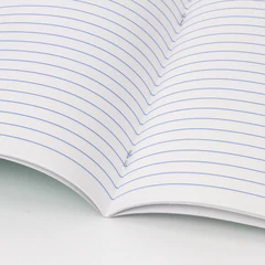 Тетрадь 18 л. BRAUBERG "ЭКО", линия, обложка картон 170 г/м2, ЗЕЛЕНАЯ ПАСТЕЛЬНАЯ, 105677