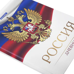 Дневник 5-11 класс 48 л., твердый, BRAUBERG, глянцевая ламинация, с подсказом, "Символика 2", 106067