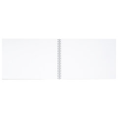 Альбом для рисования, А4, 48 л., гребень, обложка картон, BRAUBERG, 205&times;290 мм, &laquo;Летний пейзаж&raquo; (2 вида), 106328