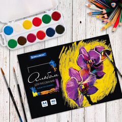 Альбом для рисования А4 40 л., склейка, обложка картон, подложка, BRAUBERG, 205&times;290 мм, &laquo;Blossom&raquo;, 106330