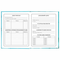 Дневник 1-4 класс 48 л., твердый, BRAUBERG, глянцевая ламинация, с подсказом, &laquo;Милые Коалы&raquo;, 106358