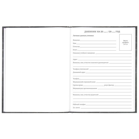 Дневник 5-11 класс 48 л., твердый, BRAUBERG, фольга, с подсказом, "Музыка", 106418