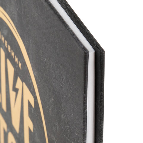 Дневник 5-11 класс 48 л., твердый, BRAUBERG, фольга, с подсказом, "Музыка", 106418