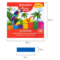 Пластилин классический BRAUBERG &laquo;МАГИЯ ЦВЕТА NEW&raquo;, 12 цветов, 240 г, стек, ВЫСШЕЕ КАЧЕСТВО, 106426