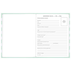 Дневник 1-11 класс 48 л., твердый, BRAUBERG, блестки, с подсказом, &laquo;Котик&raquo;, 106606