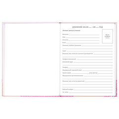 Дневник 5-11 класс 48 л., твердый, BRAUBERG, глянцевая ламинация, с подсказом, &laquo;Летний&raquo;, 106631