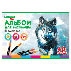 Альбом для рисования, А4, 40 листов, скоба, обложка картон, BRAUBERG KIDS, 200х285 мм, "Зверята" (2 вида), 106683