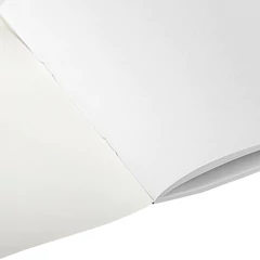 Альбом для рисования А4 40 л., скоба, обложка офсет, ПИФАГОР, 203&times;288 мм, &laquo;Тедди&raquo; (2 вида), 106701