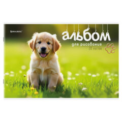 Альбомы для рисования ДЭК А4, 20 л., КОМПЛЕКТ 4 шт., скоба, обложка картон, BRAUBERG, 205&times;290 мм, &laquo;Pets&raquo;, 106732