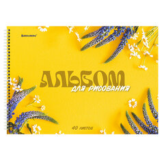 Альбомы для рисования ДЭК А4, 40 л., КОМПЛЕКТ 2 шт., гребень, обложка картон, BRAUBERG, 205&times;290 мм, &laquo;Соцветие&raquo;, 106737