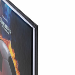 Дневник 5-11 класс 48 л., твердый, BRAUBERG, глянцевая ламинация, с подсказом, &laquo;Футбол&raquo;, 106880