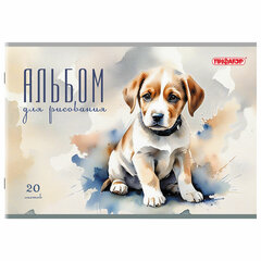 Альбом для рисования А4, 20 листов, скоба, обложка офсет, ПИФАГОР, 203&times;288 мм, &laquo;МИКС-2&raquo;, 107103
