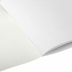 Альбом для рисования А4, 24 листа, скоба, обложка офсет, ПИФАГОР, 203&times;288 мм, &laquo;КАПИБАРА&raquo; (2 вида), 107104