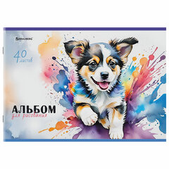Альбом для рисования А4, 40 листов, скоба, обложка картон, BRAUBERG, 203&times;288 мм, &laquo;МИКС-1&raquo;, 107114