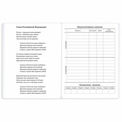 Дневник 1-11 класс 40 л., на скобе, ПИФАГОР, обложка картон, МИКС &laquo;Универсальный&raquo;, 107139