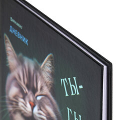 Дневник 5-11 класс 48 л., твердый, BRAUBERG, глянцевая ламинация, с подсказом, &laquo;Ты-Гы-Дык&raquo;, 107184