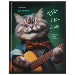 Дневник 5-11 класс 48 л., твердый, BRAUBERG, глянцевая ламинация, с подсказом, &laquo;Ты-Гы-Дык&raquo;, 107184