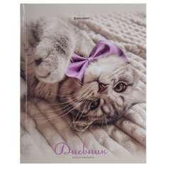 Дневник 5-11 класс 48 л., твердый, BRAUBERG, глянцевая ламинация, с подсказом, &laquo;Котик&raquo;, 107188