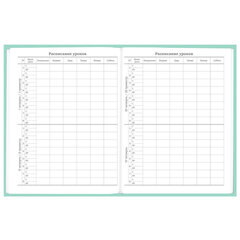 Дневник 5-11 класс 48 л., твердый, BRAUBERG, фольга, с подсказом, &laquo;Aspiration&raquo;, 107199