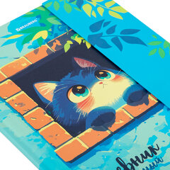 Дневник 1-11 класс 48 л., твердый, BRAUBERG, матовая ламинация, магнитный клапан, закладка-ляссе, с подсказом, &laquo;Котик&raquo;, 107244