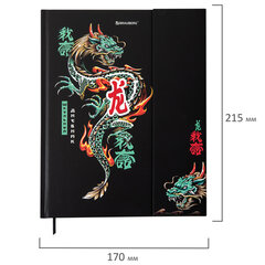 Дневник 1-11 класс 48 л., твердый, BRAUBERG, матовая ламинация, магнитный клапан, закладка-ляссе, с подсказом, &laquo;Дракон&raquo;, 107245