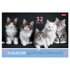 Альбом для рисования А4 32 л., скоба, обложка картон, HATBER, 205х290 мм, Ассорти "Выпуск №4" (5 видов), 091508