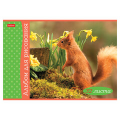 Альбом для рисования А4, 32 л., скоба, обложка картон, HATBER, 205&times;290 мм, &laquo;Белочка пришла&raquo; (5 видов), 091519