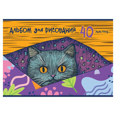 Альбом для рисования А4, 40 л., скоба, обложка картон, HATBER, 205&times;290 мм, &laquo;Котофей&raquo; (5 видов), 091512