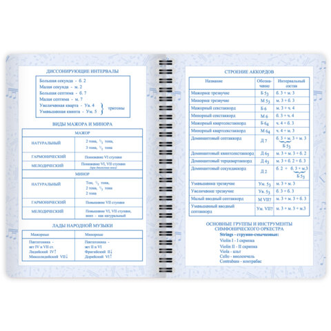 Дневник для музыкальной школы 48 листов, гребень, пластиковая обложка, картон, BRAUBERG, "МИКС", 107519 - фото 15