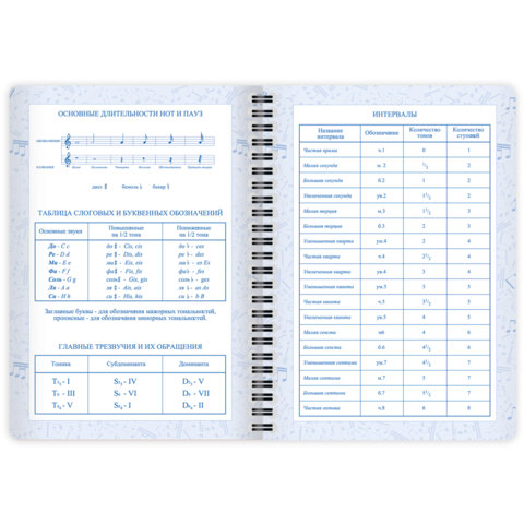 Дневник для музыкальной школы 48 листов, гребень, пластиковая обложка, картон, BRAUBERG, "МИКС", 107519 - фото 13