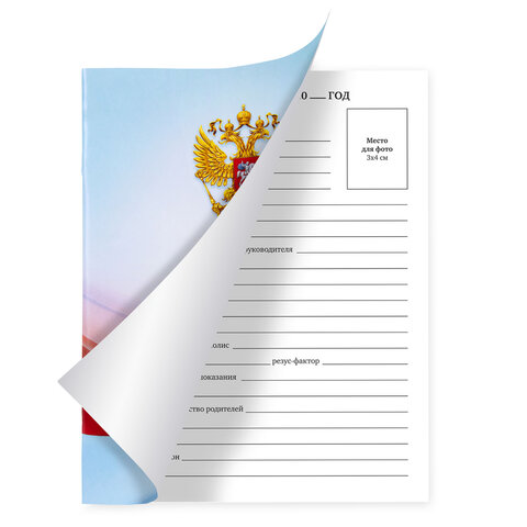 Дневник 1-11 класс 40 л., на скобе, ПИФАГОР, обложка картон, МИКС "Российский", 107576