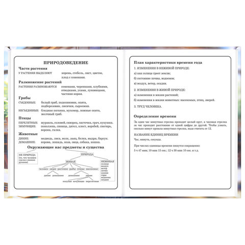 Дневник 1-4 класс 48 л., твердый, ЮНЛАНДИЯ, глянцевая ламинация, с подсказом, "МИКС", 107580