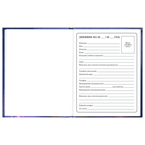 Дневник 1-4 класс 48 л., твердый, ЮНЛАНДИЯ, глянцевая ламинация, с подсказом, "Принцесса", 107582