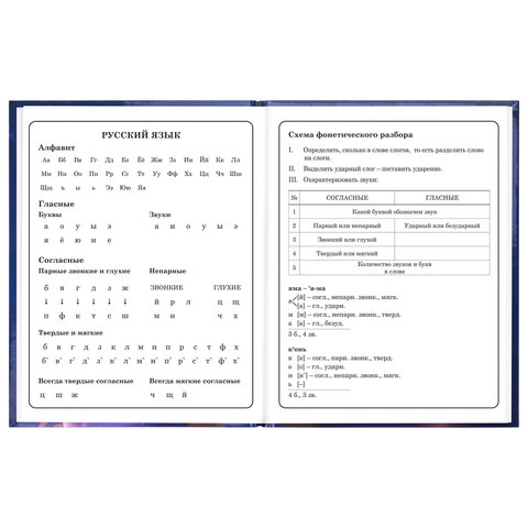 Дневник 1-4 класс 48 л., твердый, ЮНЛАНДИЯ, глянцевая ламинация, с подсказом, "Принцесса", 107582