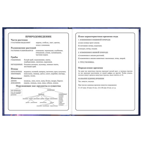 Дневник 1-4 класс 48 л., твердый, ЮНЛАНДИЯ, глянцевая ламинация, с подсказом, "Принцесса", 107582