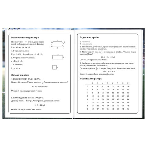 Дневник 1-4 класс 48 л., твердый, ЮНЛАНДИЯ, глянцевая ламинация, с подсказом, "Футбол", 107583