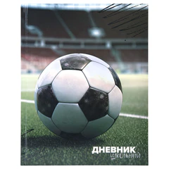 Дневник 1-4 класс 48 л., твердый, ЮНЛАНДИЯ, глянцевая ламинация, с подсказом, &laquo;Футбол&raquo;, 107583
