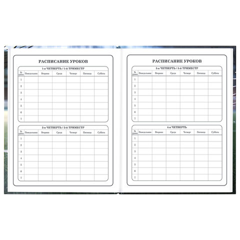 Дневник 1-4 класс 48 л., твердый, ЮНЛАНДИЯ, глянцевая ламинация, с подсказом, "Футбол", 107583