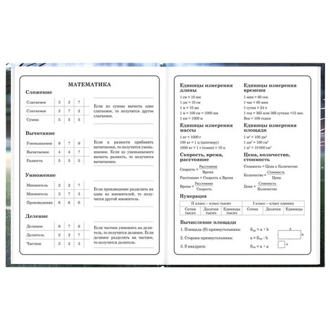 Дневник 1-4 класс 48 л., твердый, ЮНЛАНДИЯ, глянцевая ламинация, с подсказом, "Футбол", 107583