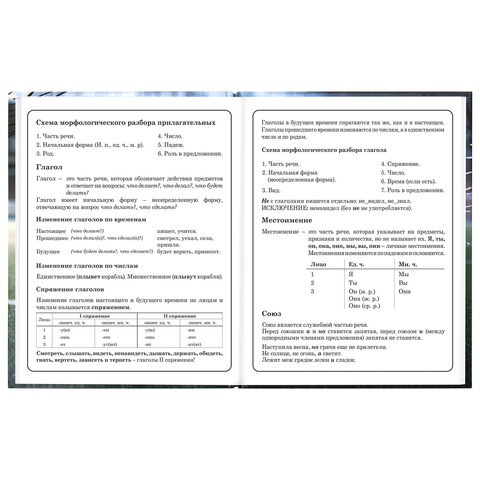 Дневник 1-4 класс 48 л., твердый, ЮНЛАНДИЯ, глянцевая ламинация, с подсказом, "Футбол", 107583