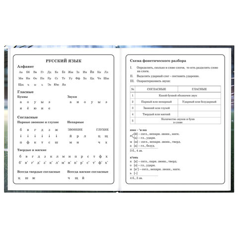 Дневник 1-4 класс 48 л., твердый, ЮНЛАНДИЯ, глянцевая ламинация, с подсказом, "Футбол", 107583