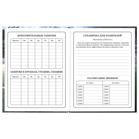 Дневник 1-4 класс 48 л., твердый, ЮНЛАНДИЯ, глянцевая ламинация, с подсказом, "Футбол", 107583